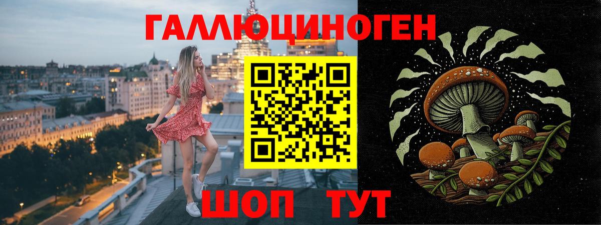 Галлюциногенные грибы мицелий Коммунар